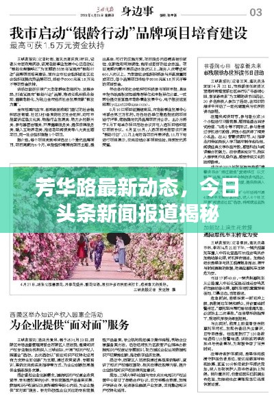 芳华路最新动态，今日头条新闻报道揭秘