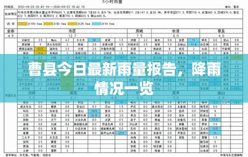 曹县今日最新雨量报告，降雨情况一览