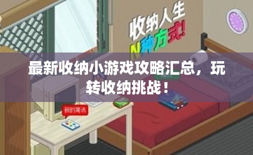 最新收纳小游戏攻略汇总，玩转收纳挑战！