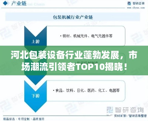 河北包装设备行业蓬勃发展，市场潮流引领者TOP10揭晓！