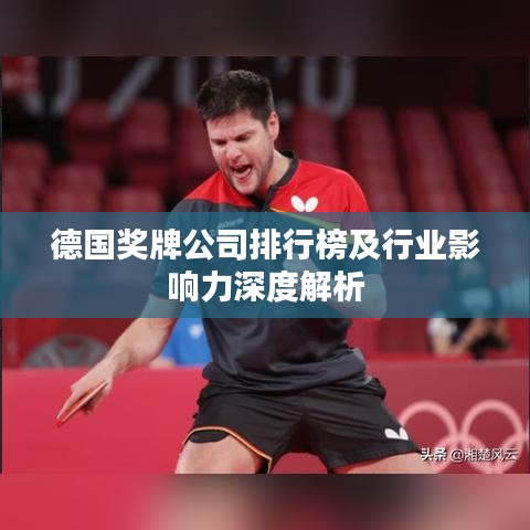 德国奖牌公司排行榜及行业影响力深度解析