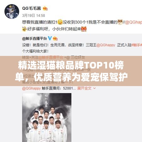 精选湿猫粮品牌TOP10榜单，优质营养为爱宠保驾护航