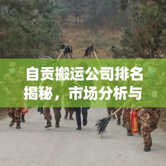 自贡搬运公司排名揭秘，市场分析与行业影响力评估！