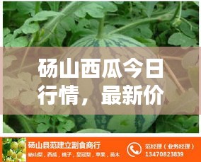 砀山西瓜今日行情，最新价格动态一网打尽