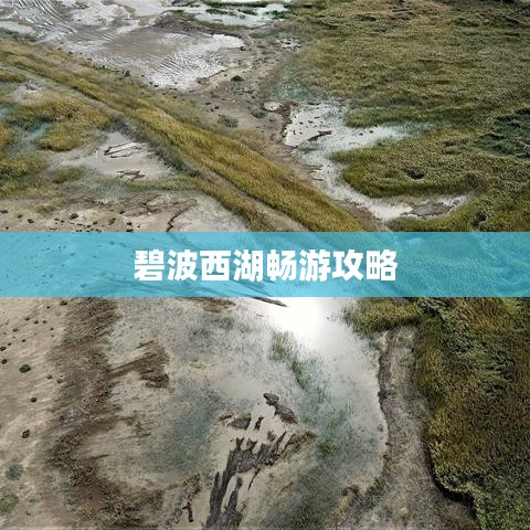 碧波西湖畅游攻略