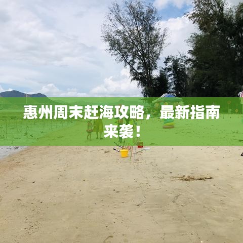 惠州周末赶海攻略，最新指南来袭！