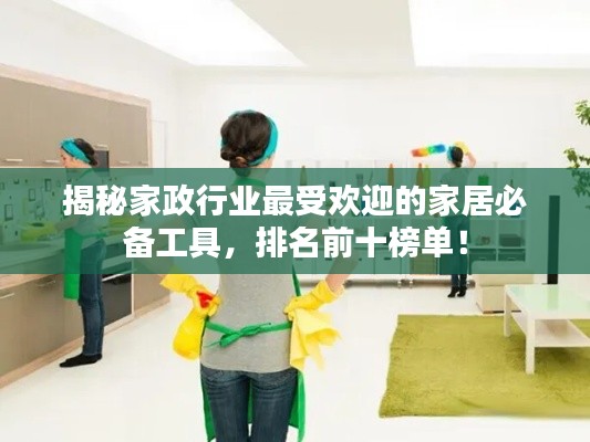 揭秘家政行业最受欢迎的家居必备工具，排名前十榜单！