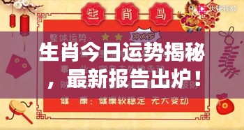 生肖今日运势揭秘，最新报告出炉！