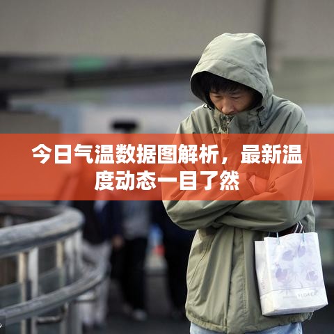 今日气温数据图解析，最新温度动态一目了然