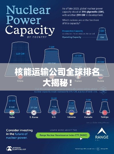 核能运输公司全球排名大揭秘！