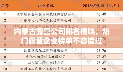内蒙古露营公司排名揭晓，热门露营企业榜单不容错过