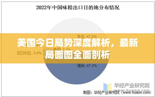 美国今日局势深度解析，最新局面图全面剖析