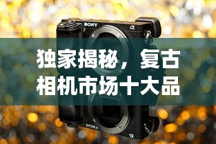 独家揭秘，复古相机市场十大品牌排名榜单！