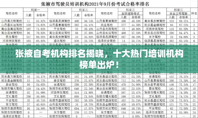 张掖自考机构排名揭晓，十大热门培训机构榜单出炉！