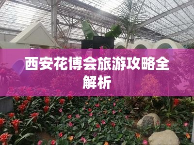 西安花博会旅游攻略全解析