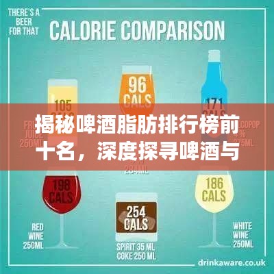 揭秘啤酒脂肪排行榜前十名，深度探寻啤酒与脂肪之间的神秘关联！
