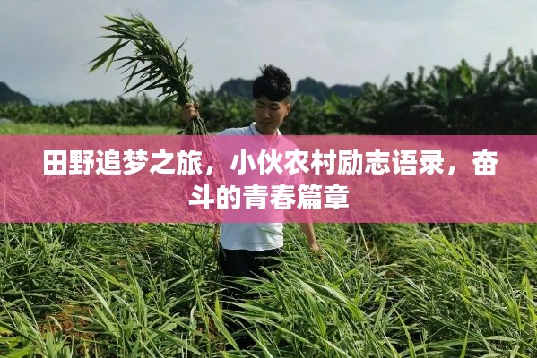 田野追梦之旅，小伙农村励志语录，奋斗的青春篇章