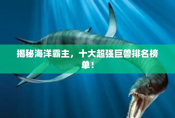 揭秘海洋霸主，十大超强巨兽排名榜单！