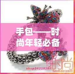 手包——时尚年轻必备配饰，领略潮流风采，百度带你探索时尚魅力