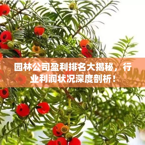 园林公司盈利排名大揭秘，行业利润状况深度剖析！