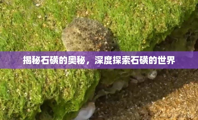 揭秘石磺的奥秘，深度探索石磺的世界