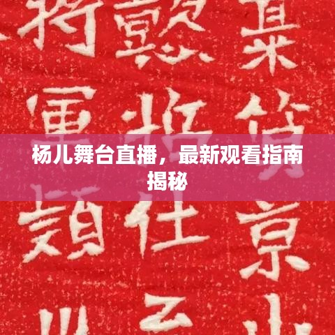 杨儿舞台直播，最新观看指南揭秘