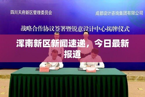 浑南新区新闻速递，今日最新报道