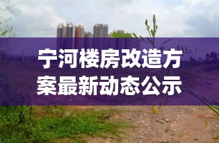宁河楼房改造方案最新动态公示，关注改造进展看这里！