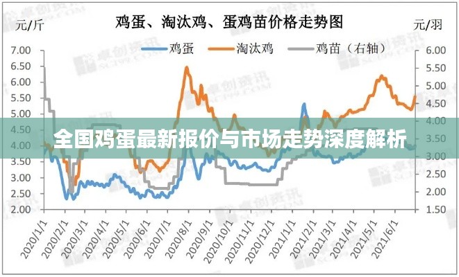 全国鸡蛋最新报价与市场走势深度解析