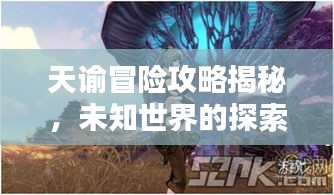 天谕冒险攻略揭秘，未知世界的探索秘密！