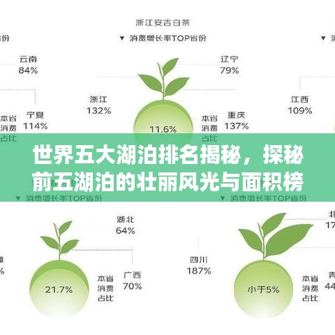 世界五大湖泊排名揭秘，探秘前五湖泊的壮丽风光与面积榜单