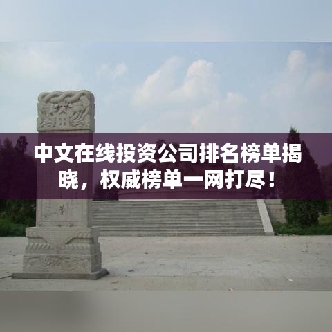 中文在线投资公司排名榜单揭晓，权威榜单一网打尽！