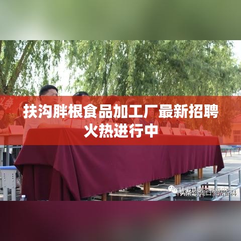 扶沟胖根食品加工厂最新招聘火热进行中
