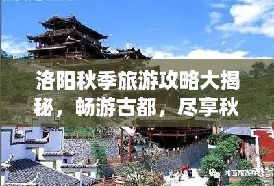 洛阳秋季旅游攻略大揭秘，畅游古都，尽享秋日风情