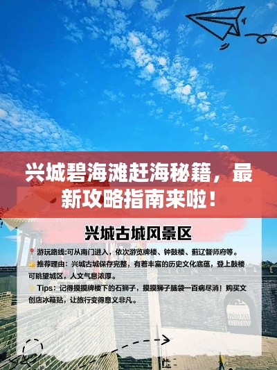 兴城碧海滩赶海秘籍，最新攻略指南来啦！