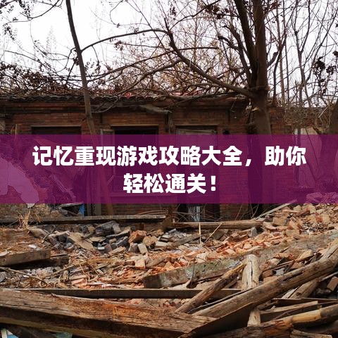 记忆重现游戏攻略大全，助你轻松通关！