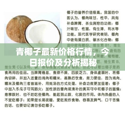 青椰子最新价格行情，今日报价及分析揭秘
