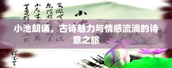 小池朗诵，古诗魅力与情感流淌的诗意之旅
