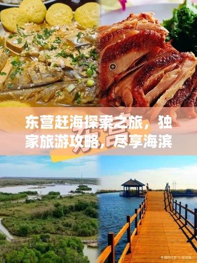 东营赶海探索之旅，独家旅游攻略，尽享海滨风情！