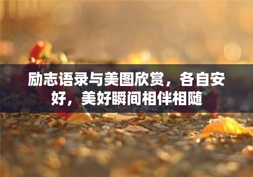 励志语录与美图欣赏，各自安好，美好瞬间相伴相随
