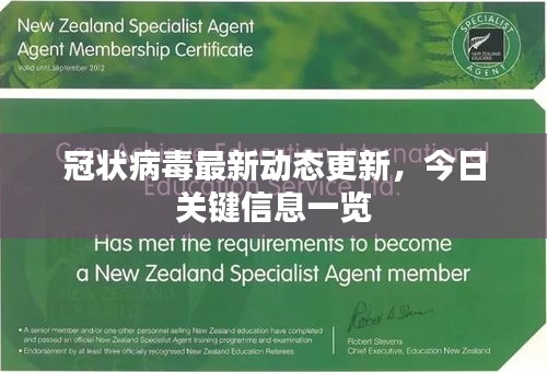 冠状病毒最新动态更新，今日关键信息一览