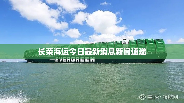 长荣海运今日最新消息新闻速递