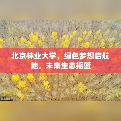 北京林业大学，绿色梦想启航地，未来生态摇篮