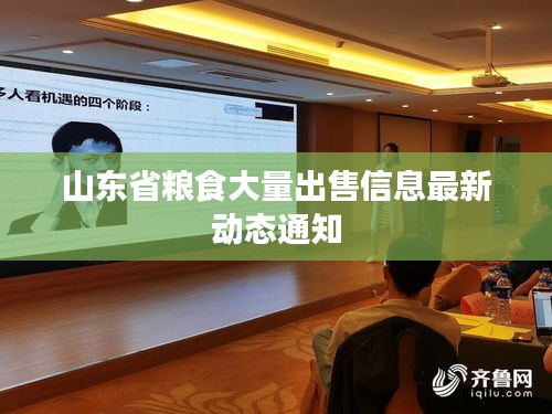 山东省粮食大量出售信息最新动态通知