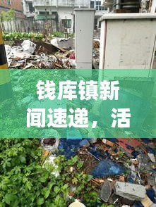 钱库镇新闻速递，活力小镇的崭新面貌与发展动态揭秘