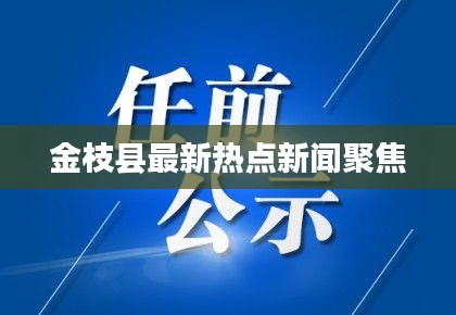 金枝县最新热点新闻聚焦