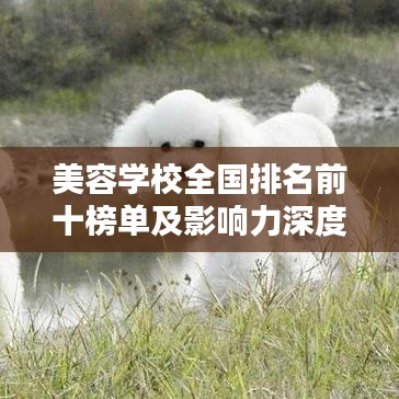 美容学校全国排名前十榜单及影响力深度解析