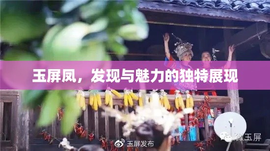 玉屏凤，发现与魅力的独特展现