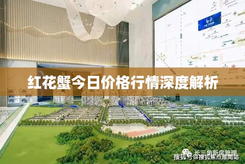 红花蟹今日价格行情深度解析