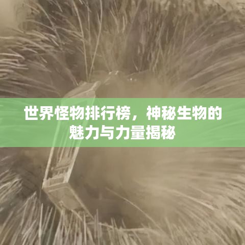 世界怪物排行榜，神秘生物的魅力与力量揭秘